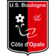 Team logo