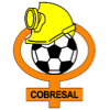 Team logo