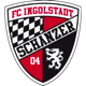 Team logo