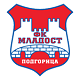 Team logo