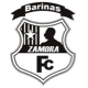 Team logo
