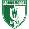 Team logo