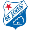 Team logo