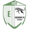 Team logo