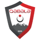 Team logo