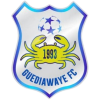 Team logo