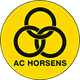 Team logo