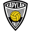 Team logo