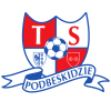 Team logo