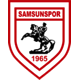 Team logo