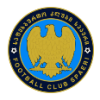 Team logo