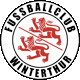 Team logo