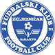 Team logo